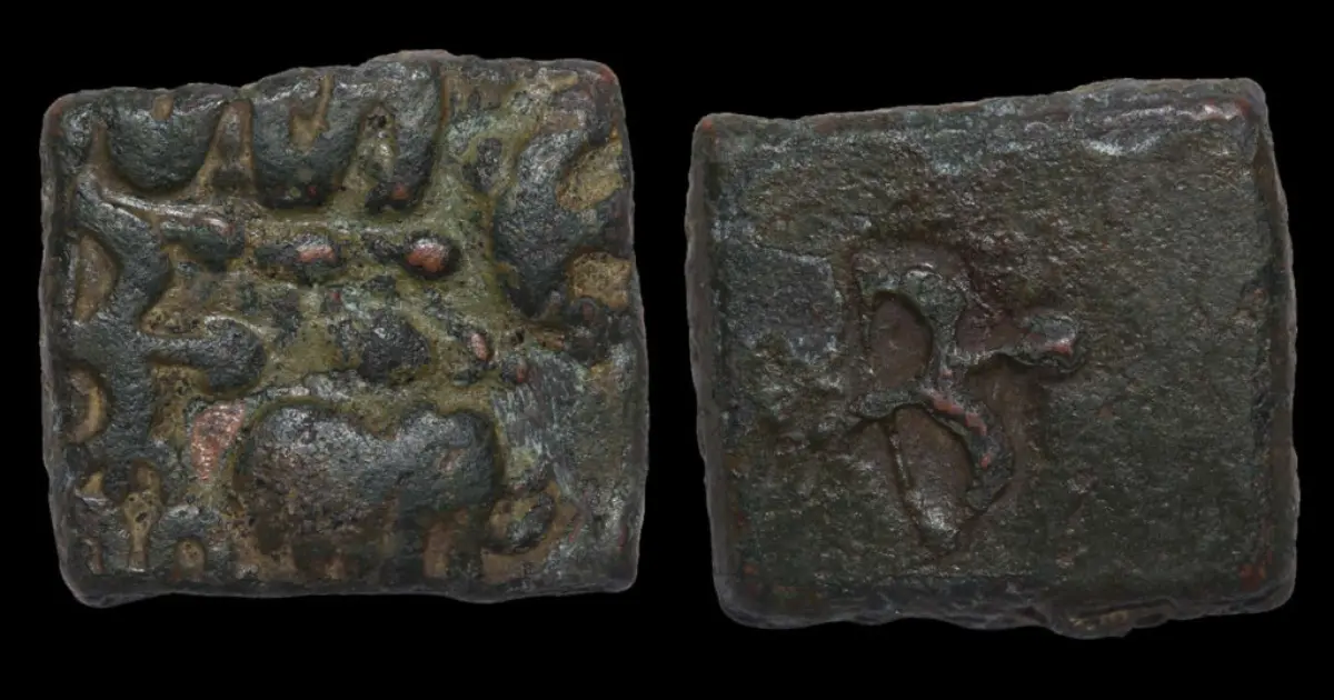 Article card image of shanar-cash